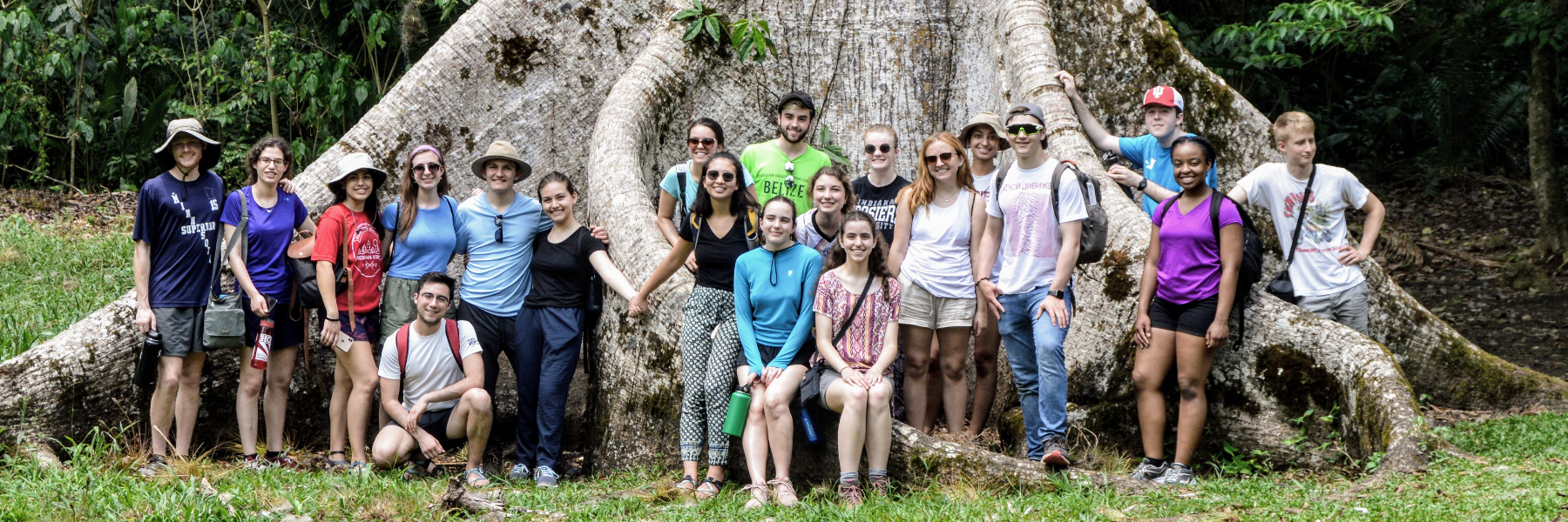 Wells Scholars in front of the roots of a giant tree in Belize. 